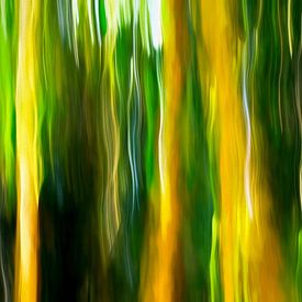 BERLIN ICM - berlin bamboo von Bernd Hoyen