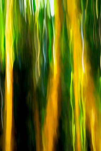 BERLIN ICM - berlin bamboo