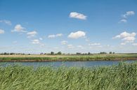 Eemdijk van Richard Wareham thumbnail