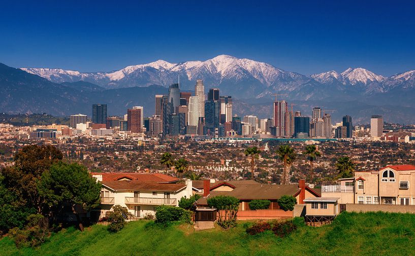 Los Angeles van Photo Wall Decoration