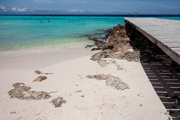 Océan bleu sur Dani Teston