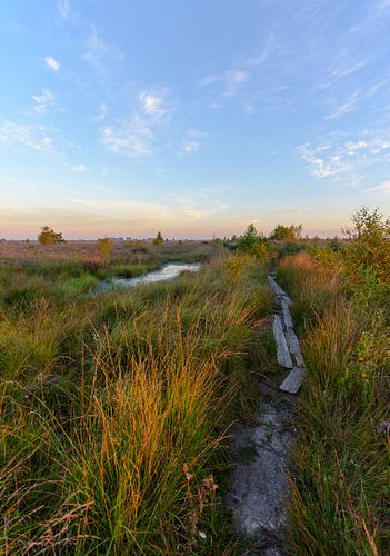 Wandelpad Fochteloërveen