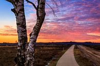 Ginkelse Heide - Road to Sunset van Joram Janssen thumbnail