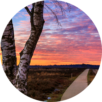 Ginkelse Heide - Road to Sunset van Joram Janssen