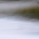 Wadden Photography - Strand #1 uit serie van 9 beelden van Wad of Wonders thumbnail