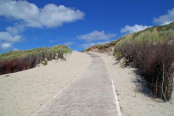 Ein Dünen-Weg auf Langeoog
