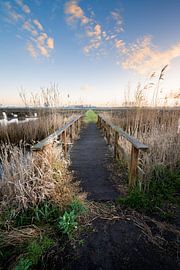 Crossing over to the horizon