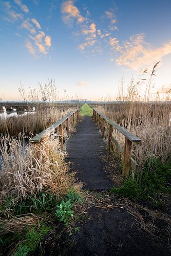 Oversteek naar de horizon