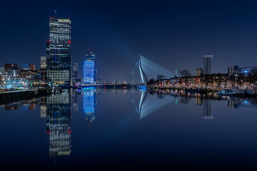 Rotterdam Erasmusbrug en skyline