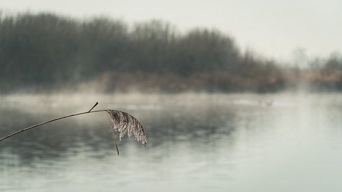rioolwaterzuiveringsinstallatie