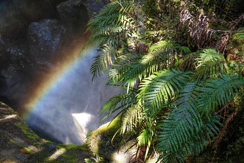Waterfall at the Milford Road, New Zealand by Christian Müringer