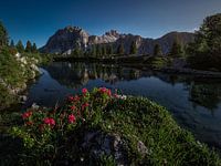 When summer arrives in the Dolomites