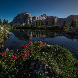 Quand l'été arrive dans les Dolomites sur Thomas Weber