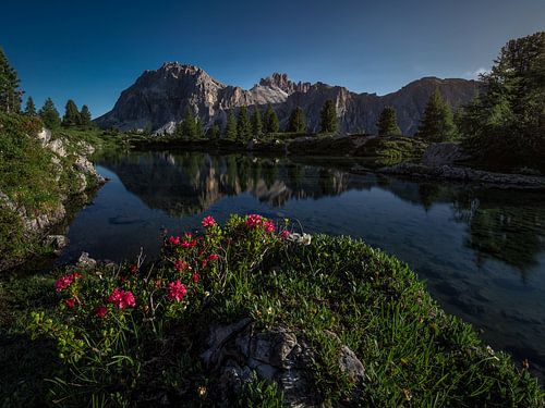 When summer arrives in the Dolomites