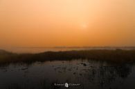 Magical Mist in Engbertsdijksveen: An Enchanted Morning by Remco Ditmar thumbnail