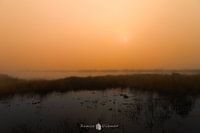 Magical Mist in Engbertsdijksveen: An Enchanted Morning