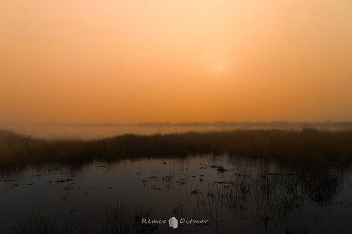 Magische Mist in Engbertsdijksveen: Een Betoverende Ochtend