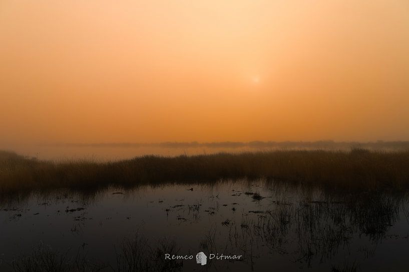 Magical Mist in Engbertsdijksveen: An Enchanted Morning by Remco Ditmar