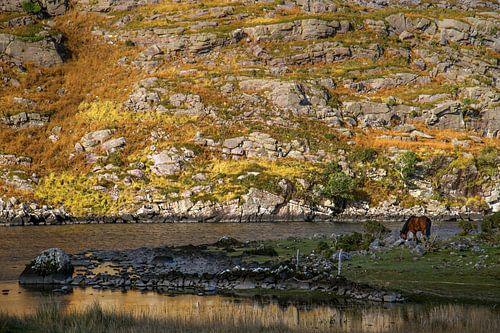 Gap of Dunloe, Killarney