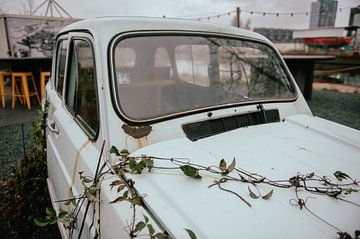 Vintage car in Haarlem by Brave Toaster Photos
