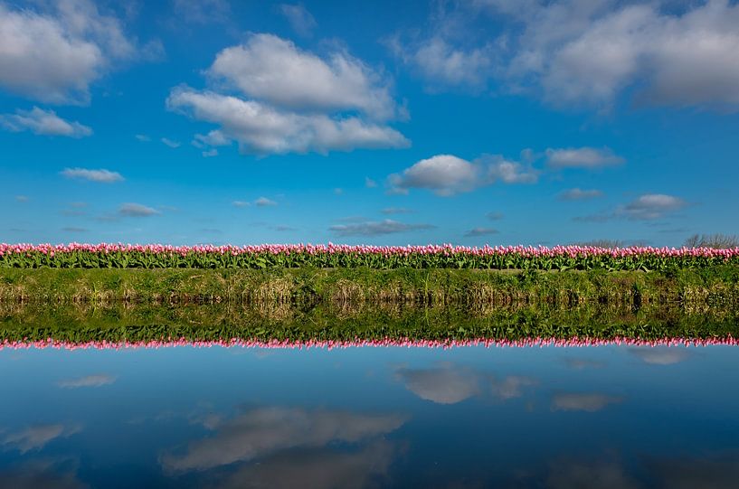 Mooie tulpenveld op een zonnige lentedag met reflectie in het water van Chihong