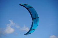 Kite in the sky