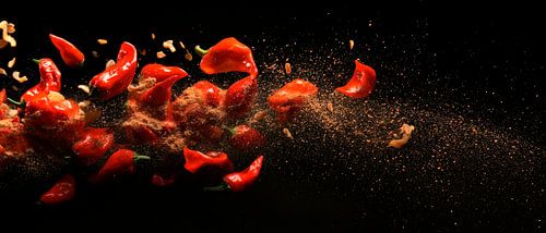 Explosion of spices in a dark background