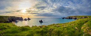 Côte verte des Cornouailles