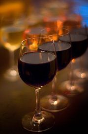 Vino sur Huibert van der Meer