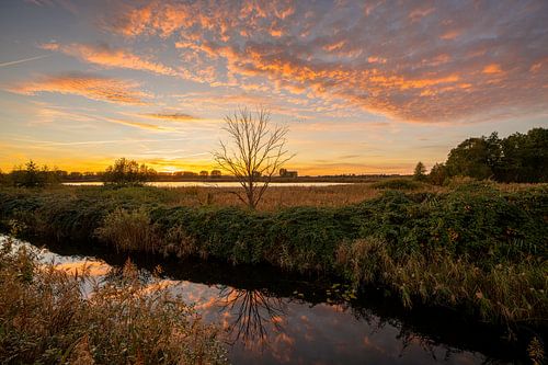 Teichland Linum, Fehrbellin, Brandenburg, Duitsland