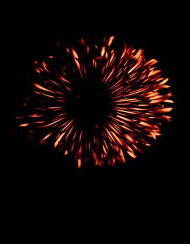 « Ember Allium X »
