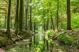 Rust natuur Overijsel van Foto UiterwijkWinkel