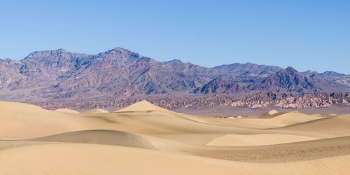 Death Valley sand dunes by Jasper Arends