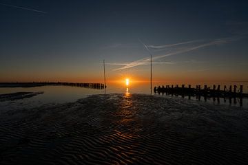 Frühes Licht von Vogelvrij fotografie