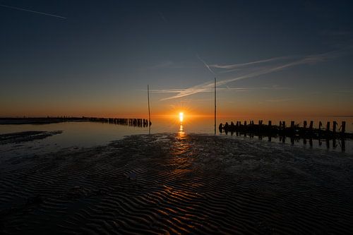 Vroeg Licht