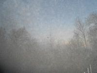 Nebel