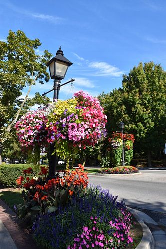 Een straatlantaarn van de bloeiende stad