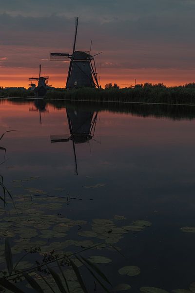 streefkerk von Rob Saly