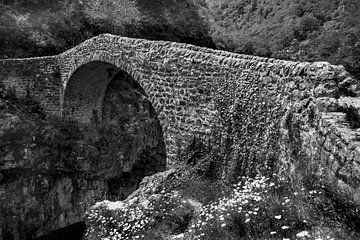 Pont Diable | Ardeche von Flatfield