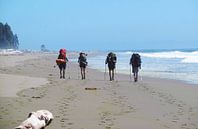 West Coast Trail, Vancouver Island van Martina Dormann thumbnail