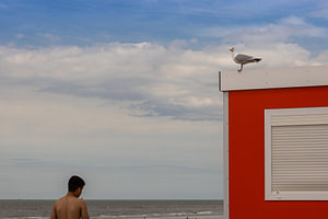 Möwe Strandbude