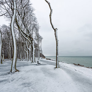 Winterlandschaft