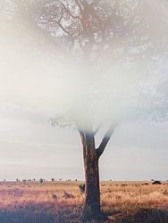 Boom in landschap in warme aardetinten