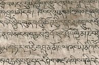 Engravings in Sanskrit by Affect Fotografie thumbnail