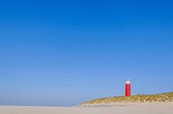 Leuchtturm auf Texel Nordholland, Niederlande von Martin Stevens Miniaturansicht