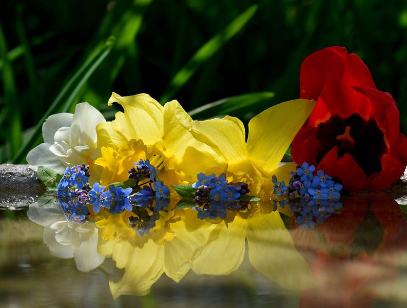 Blumen im Garten im Sommer von Claude Laprise