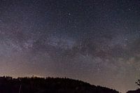 Germany, Star field of milky way galaxy core over forest silhouette