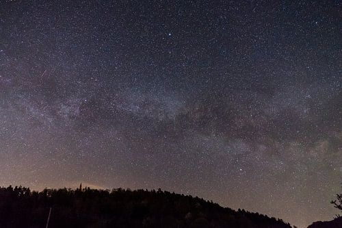 Germany, Star field of milky way galaxy core over forest silhouette
