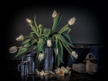 Wit Holland van Iris van Heusden