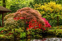 Japanse tuin